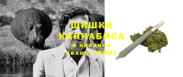 спайс Баксан