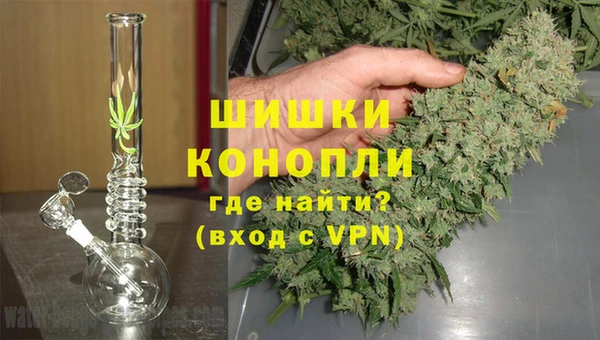 спайс Баксан